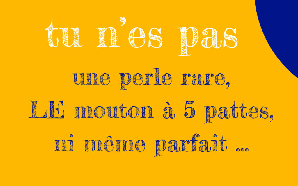 Tu n'es pas une perle rare, le mouton à 5 pattes, ni même parfait … Nous pouvons peut-être te recruter en tant que chargé de missions