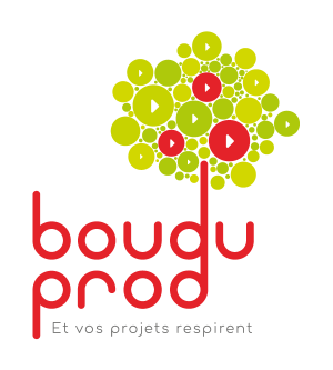 Bouduprod_logo_production-video-toulouse